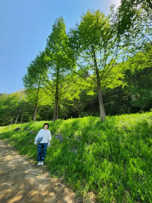 폴앤주비 주변 풍경