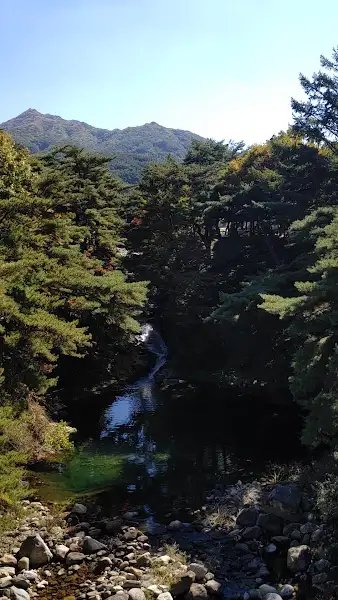 식당 주변 자연 풍경