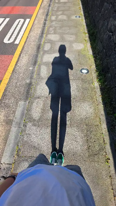제주의 해안 도로 풍경