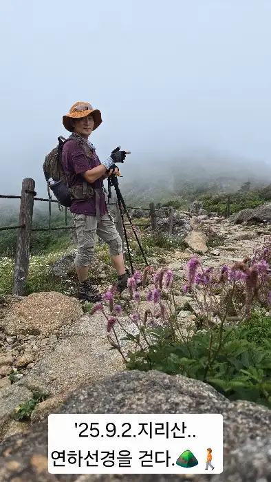 산책로의 풍경