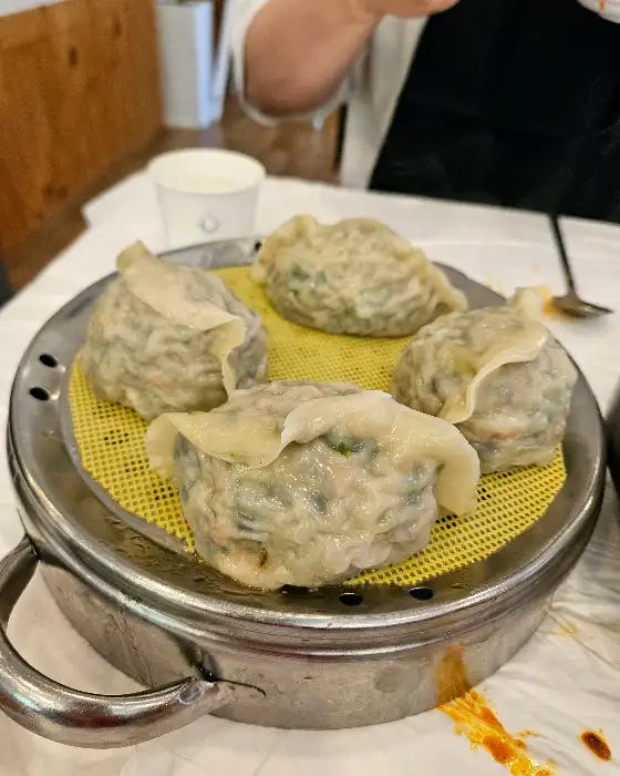 김이 솔솔 나는 만두 클로즈업