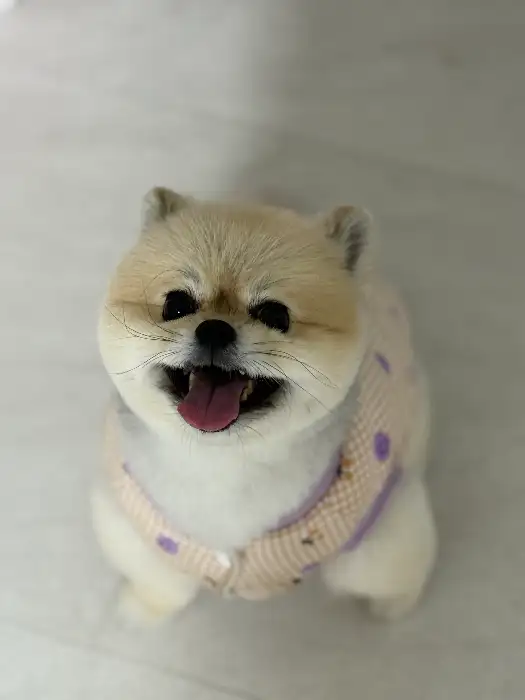 식당 내부 모습