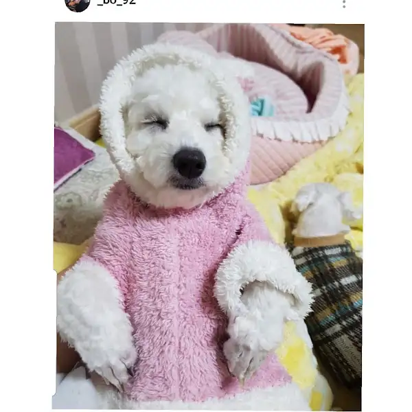매곡동 모츠나베 맛집 메인 메뉴
