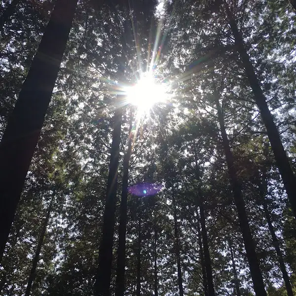 군산 금강우렁쌈밥 우렁초무침
