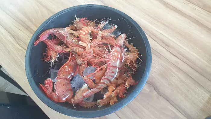 다시 한번 보이는 싱싱한 독도새우