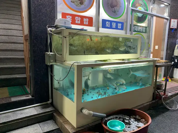 활어 수조