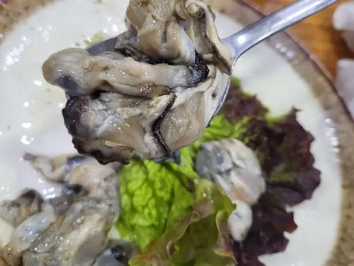 싱싱한 굴이 수저에 담겨 있는 모습