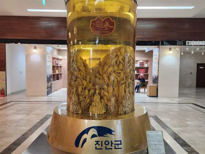 홍삼 보관 병