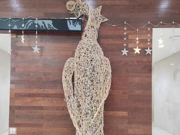 홍삼 스파 장식물