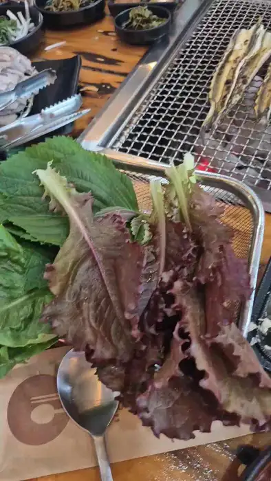 다양한 쌈 채소