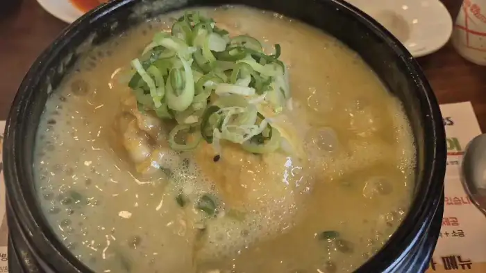 삼계탕 클로즈업 사진, 닭고기와 국물이 보인다.