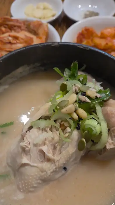 삼계탕 속 닭고기 디테일 컷