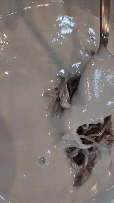 숟가락으로 콩국물을 뜨는 모습