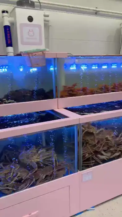 수조 안에서 활발하게 움직이는 킹크랩과 대게
