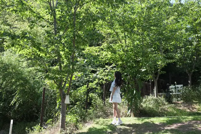 싱그러운 자연 배경의 한적한 모습