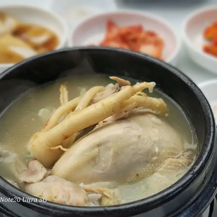 인삼과 황기가 들어간 삼계탕 클로즈업