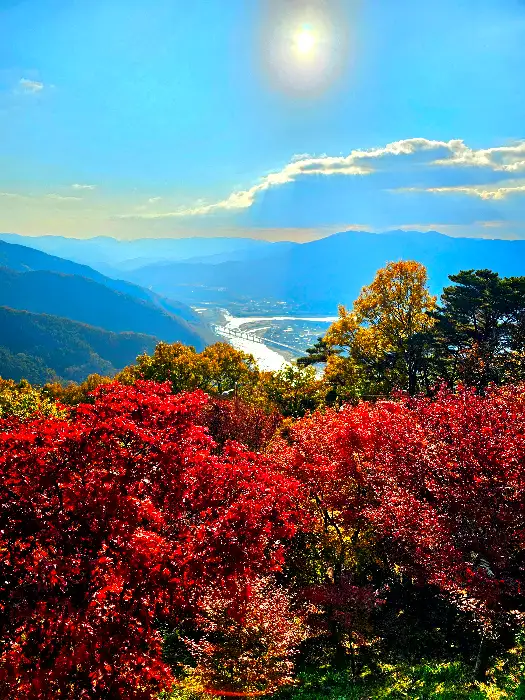 경주 황리단길 풍경