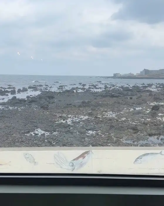 창문 너머로 보이는 바다와 돌이 많은 해안 풍경