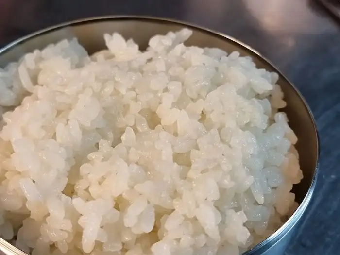 갓 지은 밥