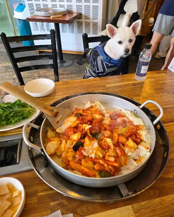 강아지가 앉아있는 테이블 옆으로 닭갈비가 담긴 팬이 놓여있다.