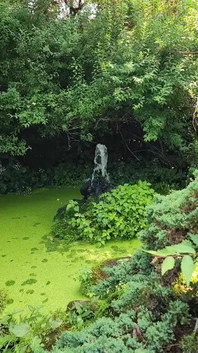정원 연못과 폭포