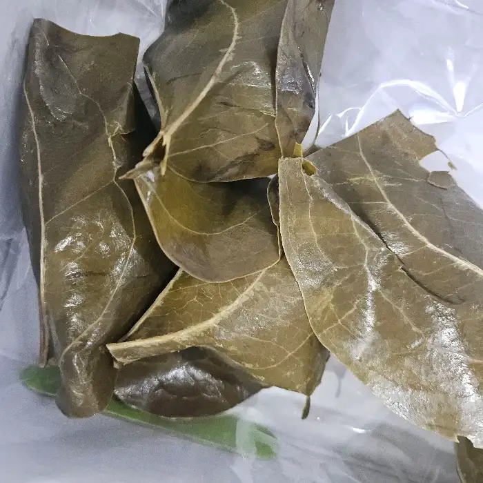 망개잎 사진
