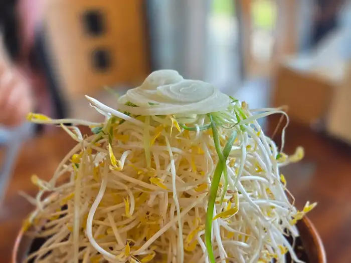 비빔국수 위의 고명