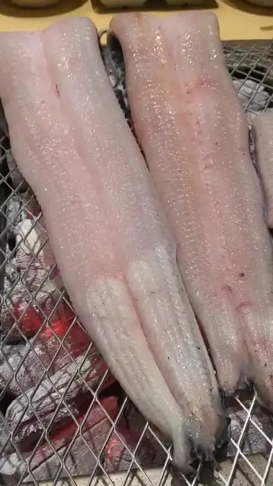 구워지기 전 신선한 장어의 모습